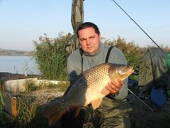 Lates 2011